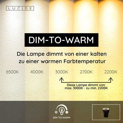 Lucide MR11 - Led Lampe - Ø 3,5 cm - LED Dim to warm - GU10 (MR11) - 1x4W 2200K/3000K - Schwarz